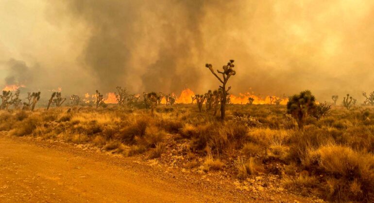 Skogsbrand i Kalifornien